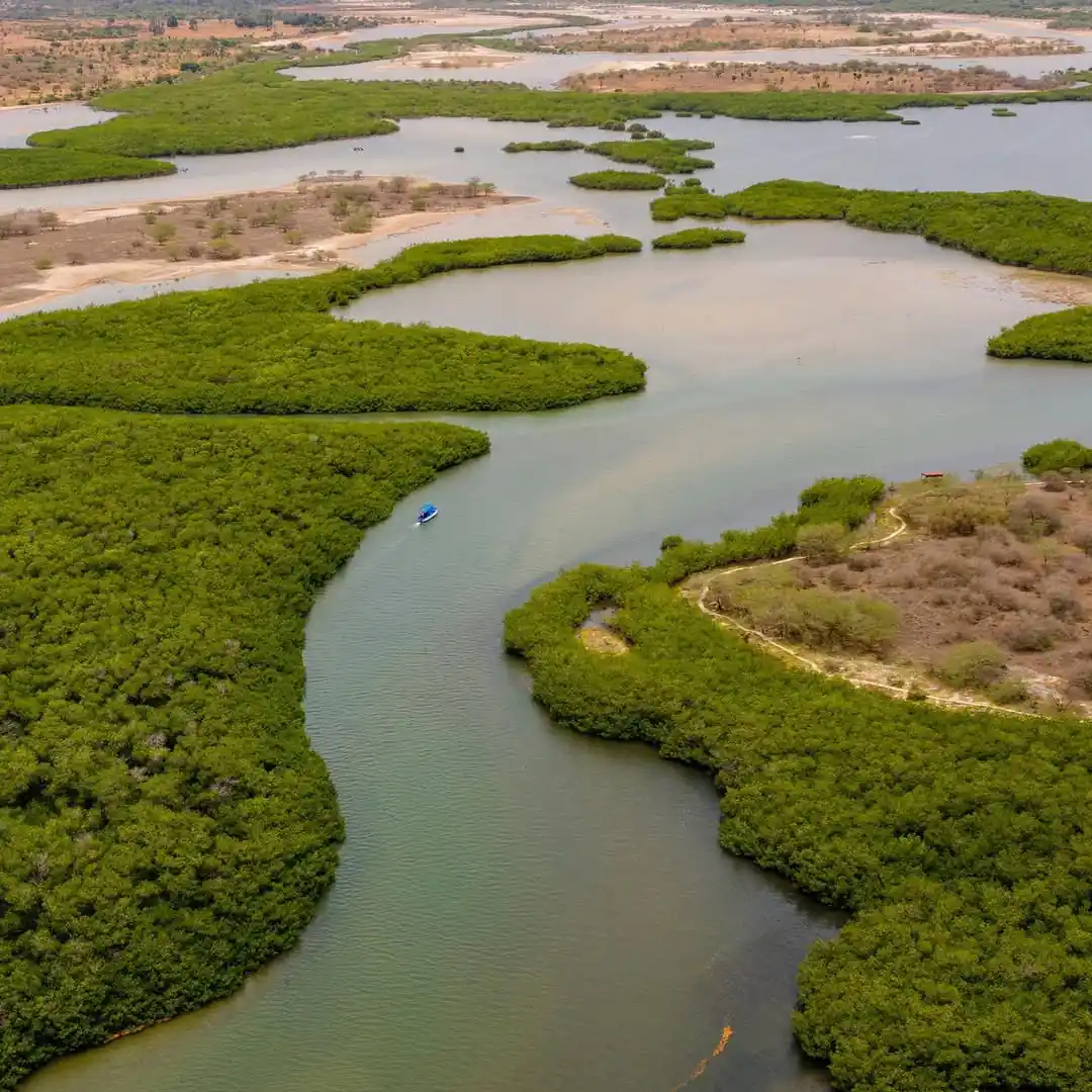 Sénégal Héritage & Luxe : L'Expérience "Retour aux Sources" Ultime (9 Jours)