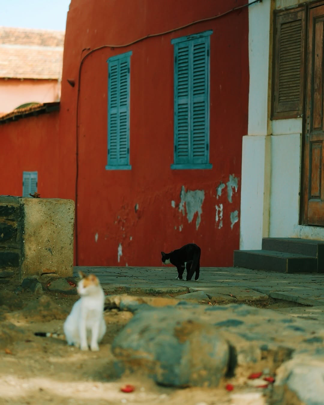 Île de Gorée — Visite guidée & traversée en ferry depuis Dakar