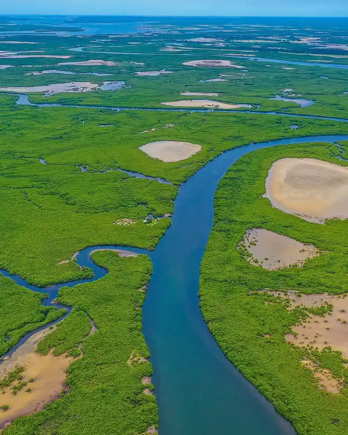 Sénégal : Mangroves & Îles (land only)
