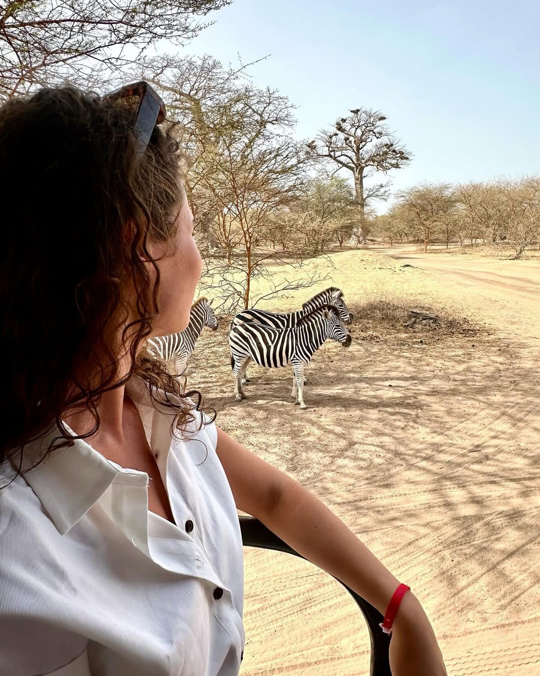 Safari en 4x4 — Bandia Wildlife Reserve (depuis Dakar)