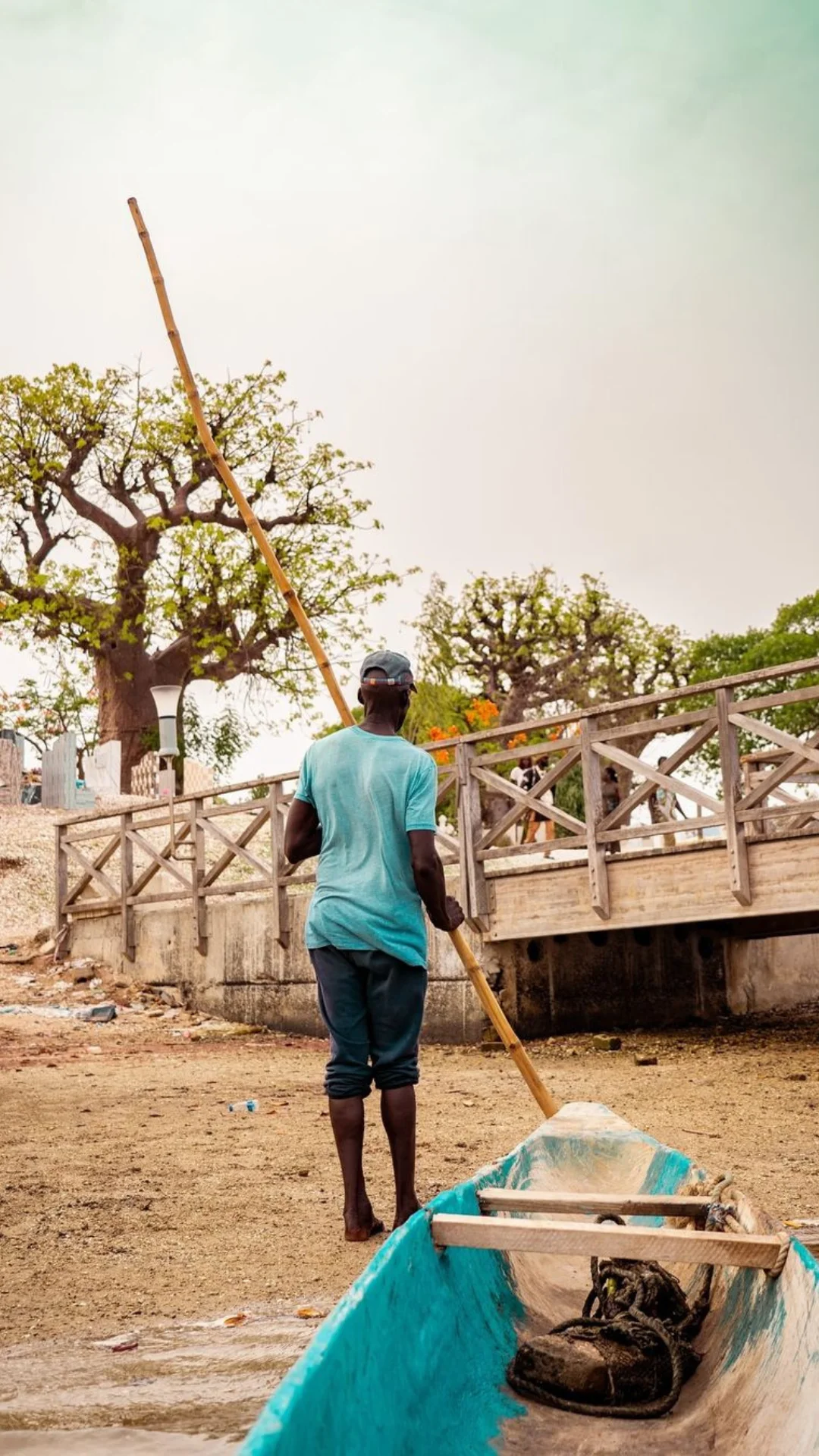 Safari Sénégal — mobile hero