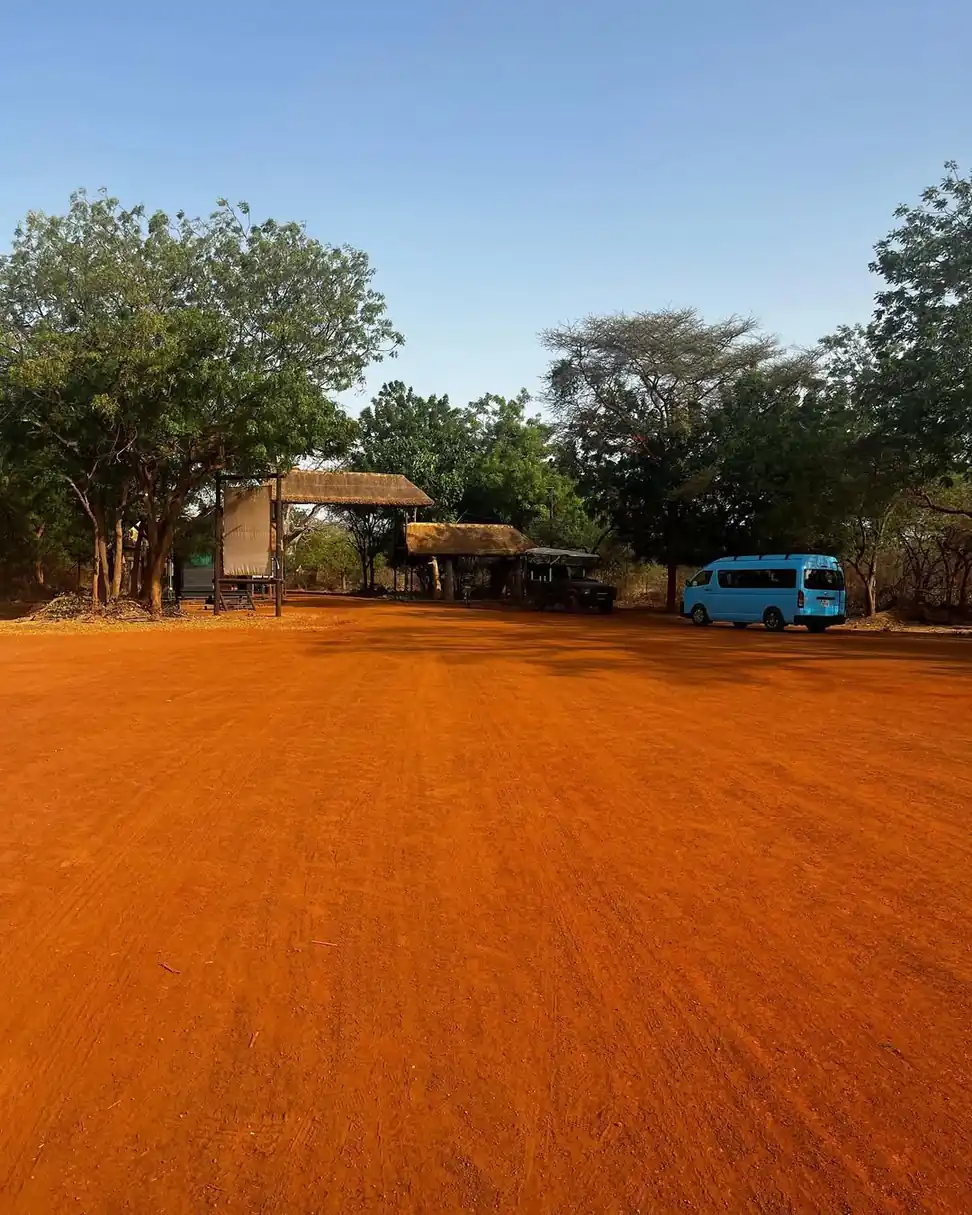 Safari Réserve de Bandia : Demi-journée Tout Inclus